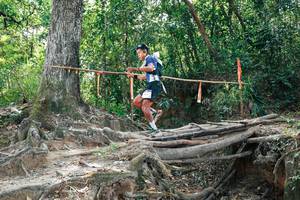 BIB: 
                            <button type="button" onclick="openModal(27802905)" class="btn btn-primary btn-sm float-right btn-popup" data-toggle="modal" data-target=".modal-high-quality">
                        <i class="fas fa-shopping-cart"></i> Add to Cart
                    </button>
                                            <button type="button" onclick="isThisMe(27802905, true)" class="btn btn-success btn-sm float-right btn-popup btn-isme hidden" data-toggle="tooltip" data-placement="bottom" title="นี่คือรูปของคุณใช่ไหม คลิกที่นี่เพื่อเอาเข้าอัลบั้ม">
                        <i class="fas fa-plus"></i> Add to album
                    </button>
                    <button type="button" onclick="isThisMe(27802905, false)" class="btn btn-warning btn-sm float-right btn-popup btn-isnotme hidden">
                        <i class="fas fa-ban"></i> Remove from album
                    </button>